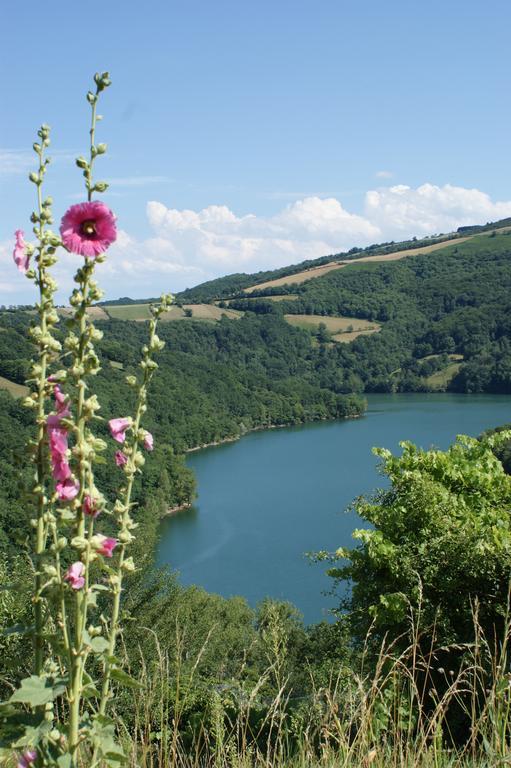 Les Hotes Du Lac, Chambres Et Tables D'Hotes Mandailles  Exteriör bild